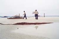 http://baeksongyi.com/files/gimgs/th-20_04_low.jpg
