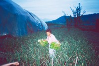 http://baeksongyi.com/files/gimgs/th-52_KR_13_low_final.jpg