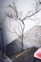 http://baeksongyi.com/files/gimgs/th-63_3.jpg